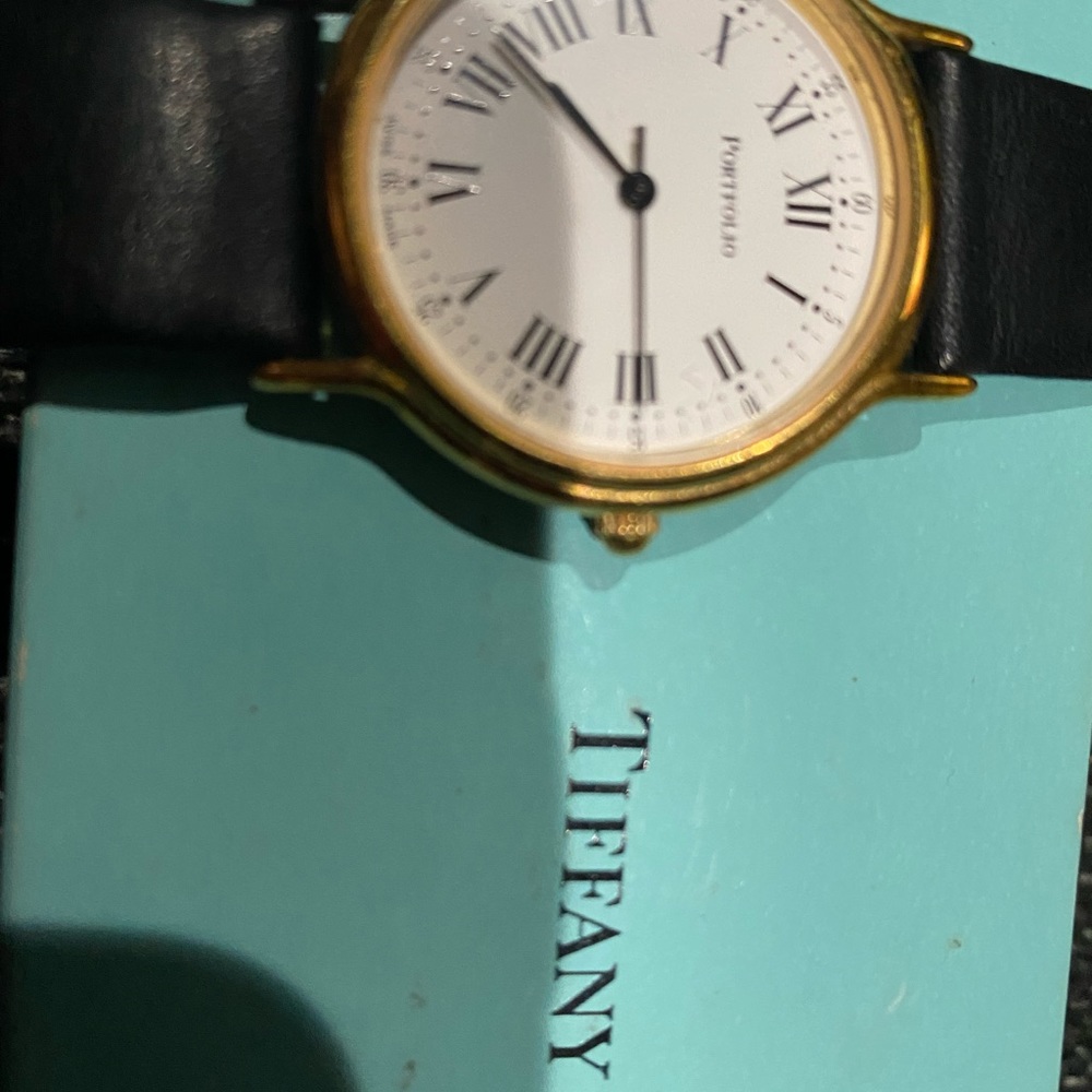 Tiffany &Co. Executive Portfolio 2tone watch box